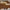 Luxury Oversized Square Sunglasses – Havana Brown