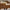 Ray-Ban Aviator Classic Sunglasses – Black