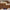 Elite Shield Sunglasses – Black