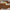 Monaco Luxe Square Sunglasses – Black