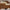 Monaco Luxe Square Sunglasses – Black
