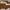 Ray-Ban Aviator Classic Sunglasses – Black