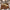 Monaco Rectangle Sunglasses – Black