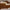Crystal Square Eyeglasses – Clear Frame
