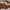 Monaco Aviator Sunglasses – Gold & Brown Gradient