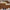 Noir Square Sunglasses – Black