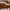 Crystal Square Eyeglasses – Clear Frame