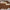 Monaco Aviator Sunglasses – Gold & Brown Gradient