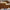 Ice Blue Rectangle Sunglasses