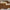 Aurora Shield Sunglasses - Dawoud Perfumes Store